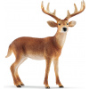 Schleich 14818 Jeleň bielochvostý