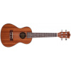 Prodipe Guitars BC2