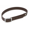 Firedog BioThane obojok Basic 19 mm 35-43 cm tmavohnedý