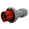 Sez IVGN 12553