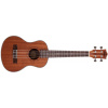Prodipe Guitars BT3