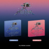 La Poem: Mirror - Platform Album