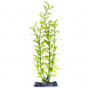 Penn Plax Blooming Ludwigia L 28 cm
