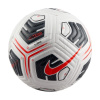 Lopta Nike Academy Plus FZ2979-100