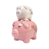 Albi Pokladnička - prasiatka