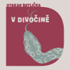 V divočině (Batlička - Matásek David) - CD (MP3)