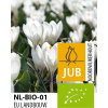 KROKUSY BIO CIBULOVINY Jeanne d'Arc 7/8, 100 ks