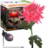 Interlook FLD-26-RUŽOVÁ | Záhradné solárne svietidlo LED Chrysanthemum | 72 cm, 600 mAh
