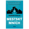 Mestský mních - Pedram Shojai