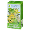 MEGAFYT Čajová zmes pri prechladnutí spc (záparové vrecúška) 20x1,5 g (30 g)