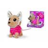 Simba Chi Chi Love Psík čivava Twinkle