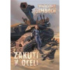 Zakuti v oceli