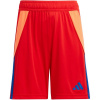 Adidas Tiro 24 Jr IT2422 shorts (198930) NAVY 128cm