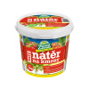 FORESTINA BIELY NÁTER NA KMENE ZDRAVÁ ZÁHRADA 1 kg