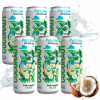 NEPERLIVÁ VODA COCONAUT KOKOSOVÁ VODA V PLECHOVKE 320 ML Z MLADÉHO KOKOSU