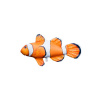 Vankúš - Nemo - Walt Disney - Ryba