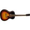 Gretsch Jim Dandy Concert LTD WNT HBS