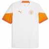 Manchester City Puma Marble 4745005