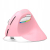 DeLUX M618Mini DB Pink