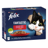 Felix Fantastic Lahodný výber v želé, hovädzie, kura, jahňa a králik 12 x 85 g