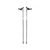 Nordic walking palice Yate Nordic walking palice Carbon