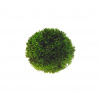 HOBBY dekorácie Plant Ball (Riasoguľa umelá) Velikost: 9cm