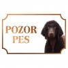 Írsky vodný španiel - Kovová tabuľka POZOR PES