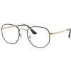 Ray-Ban Hexagonal RX6448 3176