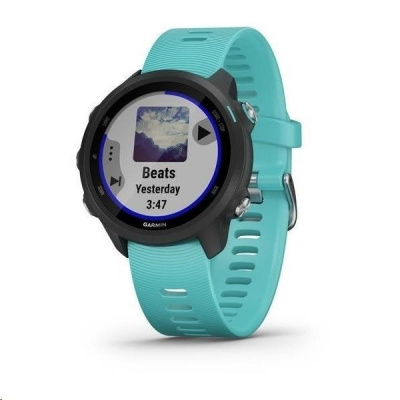 Garmin GPS sportovní hodinky Forerunner 245 Music Optic Blue 010-02120-32