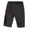 Direct Alpine Cruise Short 2.0 velikost M barva anthracite/black