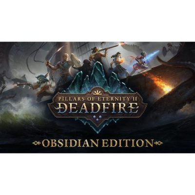 Pillars of Eternity II Deadfire Obsidian Edition | PC Steam