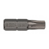 Bit nástavec TORX 20 25 mm 10 ks IRWIN