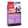 Orijen Dog Puppy Large 6kg