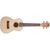 Prodipe Guitars BC25