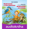 Medovníček a řeka Modrávka + Medovníček na cestách - Jan Lebeda