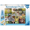 Ravensburger Koláž zvieracích mláďat 200 dielov