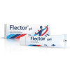 Flector EP gél gel.der.1 x 100 g