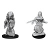 Dungeons & Dragons Nolzur's Marvelous Miniatures - Night Hag & Dusk Hag 2-Pack, 4 cm