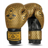 Boxerské rukavice DBX BUSHIDO B-2v23 12 oz