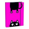 Dosky školské A5 box STIL Crazy Kitten