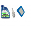 Tesnenie na kosačky - Sviečkový filter olej Briggs Stratton 650 675 (Sviečkový filter olej Briggs Stratton 650 675)