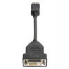 HP DisplayPort To DVI-D Adapter (FH973AA)