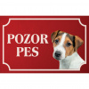 Jack Russell teriér - Kovová tabuľka POZOR PES