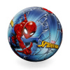 Pavúk Spider plážová lopta