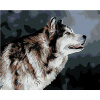 ZUTY Maľovanie podľa čísel DÍVAJÚCI SA HUSKY Rámovanie vypnuté plátno na rám Rozmer 80x100 cm