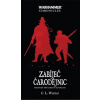 WH Mathias Thulmann 3: Zabíječ čarodějnic [Werner C.L.]