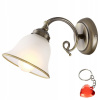 Globo 60208W