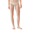 Dámske funkčné nohavičky SmartWool W Everyday Merino Bikini Boxed almond heather XS