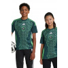 Detské tričko adidas Performance FAF zelená farba, vzorované, IT2736 128