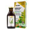 Salus Floradix Gallexier 250 ml